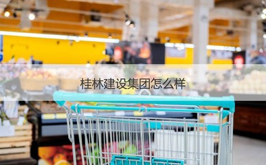 桂林建筑与制造业薪资及高薪企业概览